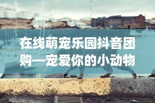在线萌宠乐园抖音团购—宠爱你的小动物，享受不一样的快乐