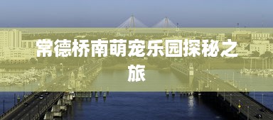 常德桥南萌宠乐园探秘之旅