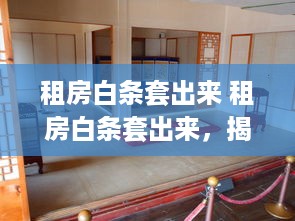 租房白条套出来 租房白条套出来，揭秘租房市场的新玩法