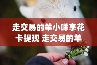 走交易的羊小咩享花卡提现 走交易的羊小咩享花卡提现，轻松赚钱新体验！