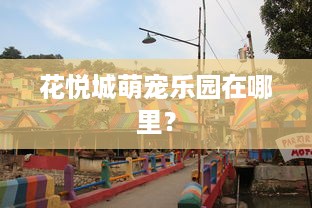 花悦城萌宠乐园在哪里？