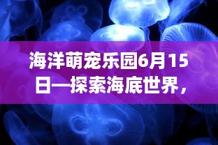 海洋萌宠乐园6月15日—探索海底世界，与海洋生物亲密接触