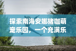 探索南海安娜猪咖萌宠乐园，一个充满乐趣与冒险的奇妙世界