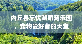 内丘县忘忧湖萌宠乐园，宠物爱好者的天堂