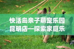 快活岛亲子萌宠乐园昆明店—探索家庭乐趣，与小动物零距离接触