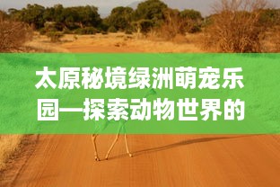 太原秘境绿洲萌宠乐园—探索动物世界的奇妙世界