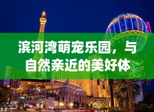 滨河湾萌宠乐园，与自然亲近的美好体验