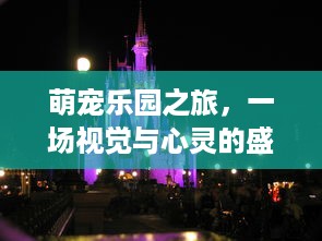 萌宠乐园之旅，一场视觉与心灵的盛宴