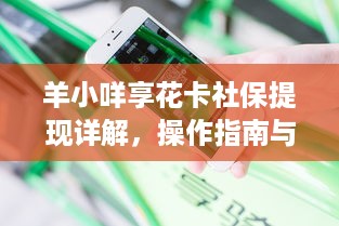 羊小咩享花卡社保提现详解，操作指南与案例分享