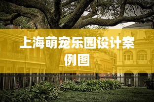 上海萌宠乐园设计案例图