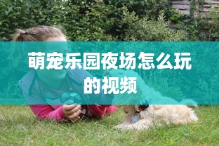 萌宠乐园夜场怎么玩的视频