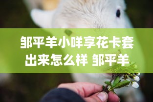 邹平羊小咩享花卡套出来怎么样 邹平羊小咩享花卡套出惊喜，体验不一样的消费乐趣！