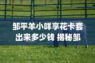 邹平羊小咩享花卡套出来多少钱 揭秘邹平羊小咩享花卡，套出来多少钱的秘密！