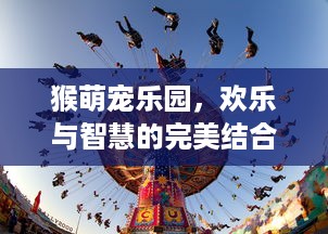 猴萌宠乐园，欢乐与智慧的完美结合