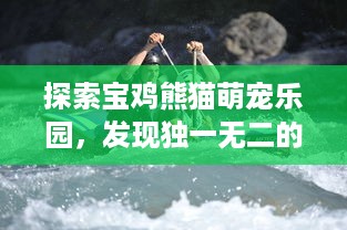 探索宝鸡熊猫萌宠乐园，发现独一无二的头像之谜
