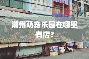 潮州萌宠乐园在哪里有店？