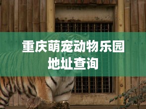 重庆萌宠动物乐园地址查询