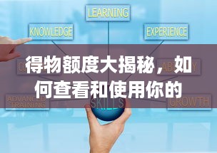 得物额度大揭秘，如何查看和使用你的得物额度？
