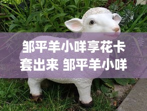 邹平羊小咩享花卡套出来 邹平羊小咩享花卡套出幸福生活圈