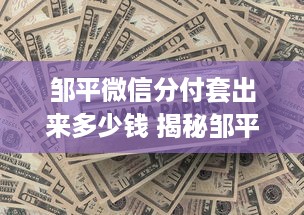 邹平微信分付套出来多少钱 揭秘邹平微信分付，你能套出来多少钱？