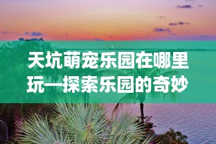 天坑萌宠乐园在哪里玩—探索乐园的奇妙之旅
