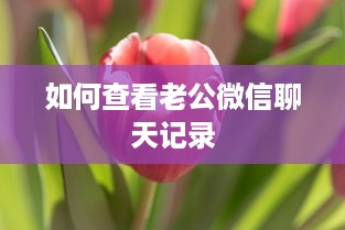 如何查看老公微信聊天记录