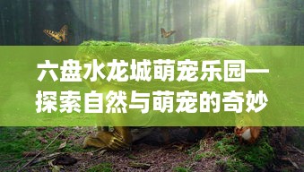 六盘水龙城萌宠乐园—探索自然与萌宠的奇妙之旅