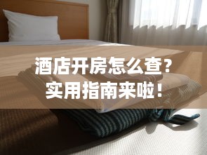 酒店开房怎么查？实用指南来啦！