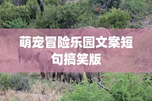 萌宠冒险乐园文案短句搞笑版