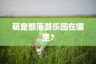 萌宠部落游乐园在哪里？
