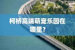柯桥高端萌宠乐园在哪里？