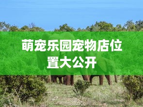 萌宠乐园宠物店位置大公开
