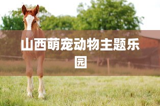 山西萌宠动物主题乐园