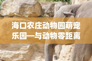 海口农庄动物园萌宠乐园—与动物零距离的欢乐体验