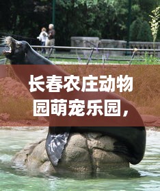长春农庄动物园萌宠乐园，探索动物王国的乐趣
