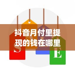 抖音月付里提现的钱在哪里—详细解读与案例分析