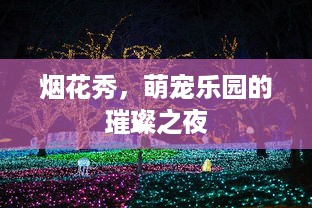 烟花秀，萌宠乐园的璀璨之夜