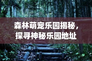 森林萌宠乐园揭秘，探寻神秘乐园地址