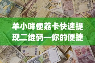 羊小咩便荔卡快速提现二维码—你的便捷金融助手