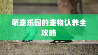 萌宠乐园的宠物认养全攻略