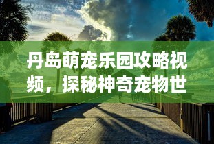 丹岛萌宠乐园攻略视频，探秘神奇宠物世界