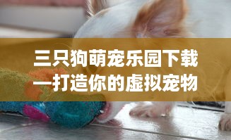 三只狗萌宠乐园下载—打造你的虚拟宠物天堂
