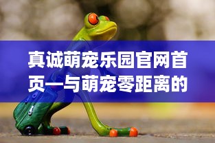 真诚萌宠乐园官网首页—与萌宠零距离的乐园之旅
