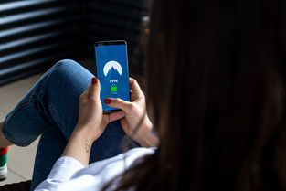查开房记录app 揭秘查开房记录App，隐私追踪还是生活便利？