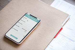 查开房记录app 揭秘查开房记录App，隐私追踪还是生活便利？