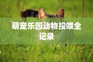 萌宠乐园动物投喂全记录