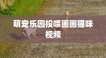 萌宠乐园投喂画画猫咪视频