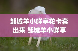 邹城羊小咩享花卡套出来 邹城羊小咩享花卡套出幸福生活圈