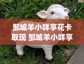 邹城羊小咩享花卡取现 邹城羊小咩享花卡，轻松取现，生活更便捷！