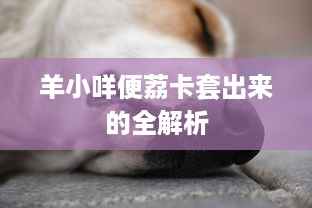 羊小咩便荔卡套出来的全解析